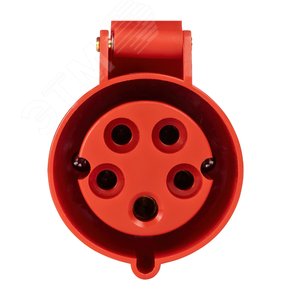 Розетка кабельная 215-16А-6h-380AC-3P+PE+N-IP44 - фото 3