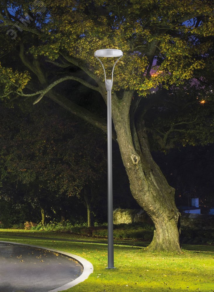 Светодиодный светильник Diora Germes Park 30/4400 ШК 3K DGP30ShK-3K DIORA - превью 12