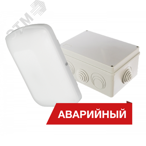Светильник светодиодный Луна Eco box 20/2300 2300лм 20Вт 4000K IP65 80 Ra Кп<5 аварийный - фото 1