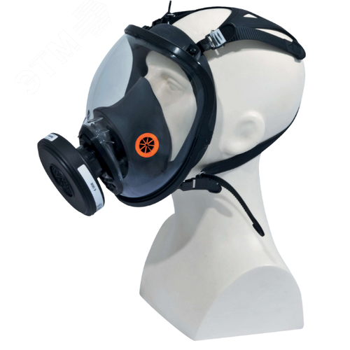 Изображение товара Маска полнолицевая (шт)