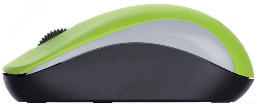 Мышь беспроводная NX-7005 оптическая, зелёный 31030017404 Genius - превью 5
