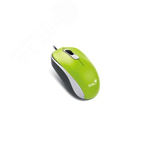 Мышь DX-110 оптическая, USB, зелёный Genius