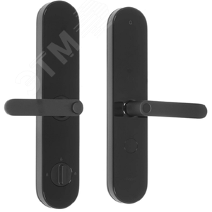 Изображение товара AQARA Умный дверной замок N100 zigbee edition, модель ZNMS16LM (шт)