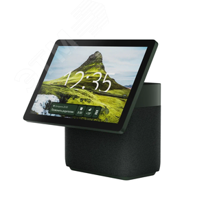 Изображение товара Колонка умная Яндекс Станция Дуо Макс с Zigbee, зеленая, YNDX-00055GRN (шт)