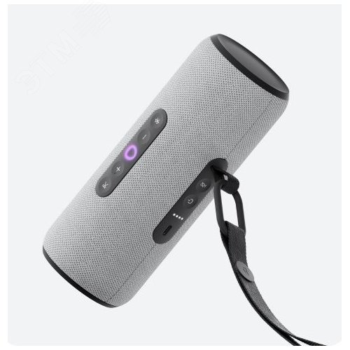 Изображение товара Умная портативная колонка Яндекс Станция Стрит с Алисой, серая, YNDX-00030GRY (шт)