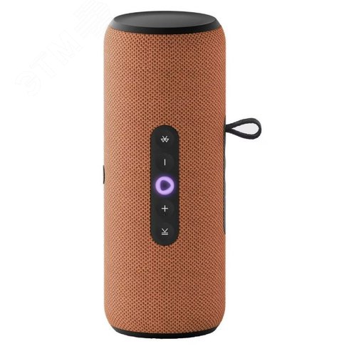 Изображение товара Умная портативная колонка Яндекс Станция Стрит с Алисой, оранжевая, YNDX-00030ORG (шт)