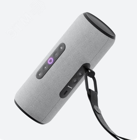 Изображение товара Умная портативная колонка Яндекс Станция Стрит с Алисой серого цвета