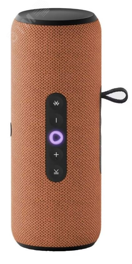 Изображение товара Умная портативная колонка Яндекс Станция Стрит с Алисой оранжевая YNDX-00030ORG