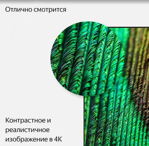 Телевизор умный с Алисой 55''(139 см), UHD 4K YNDX-00073 Yandex - превью 5