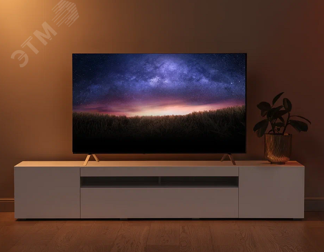 Телевизор умный с Алисой 55''(139 см), UHD 4K YNDX-00073 Yandex - превью 8