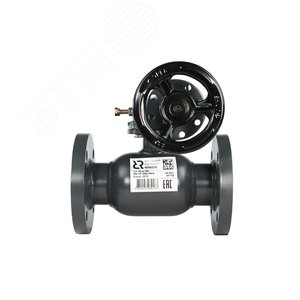 Изображение товара Кран шаровой RJIP Premium FF DN200 PN16 WG, фланцевый, с редуктором, стандартный проход (шт)