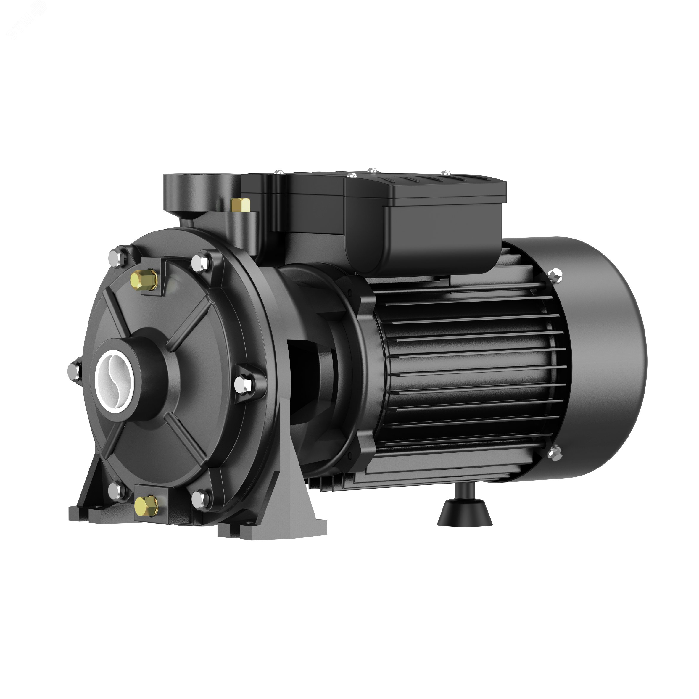 Изображение товара Насос поверхностный центробежный 2TCP25/160B Pumpman с гарантией