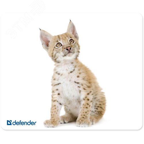 Изображение товара Коврик для компьютерной мыши Silk 230х190х1.6 мм, 10 видов (шт)