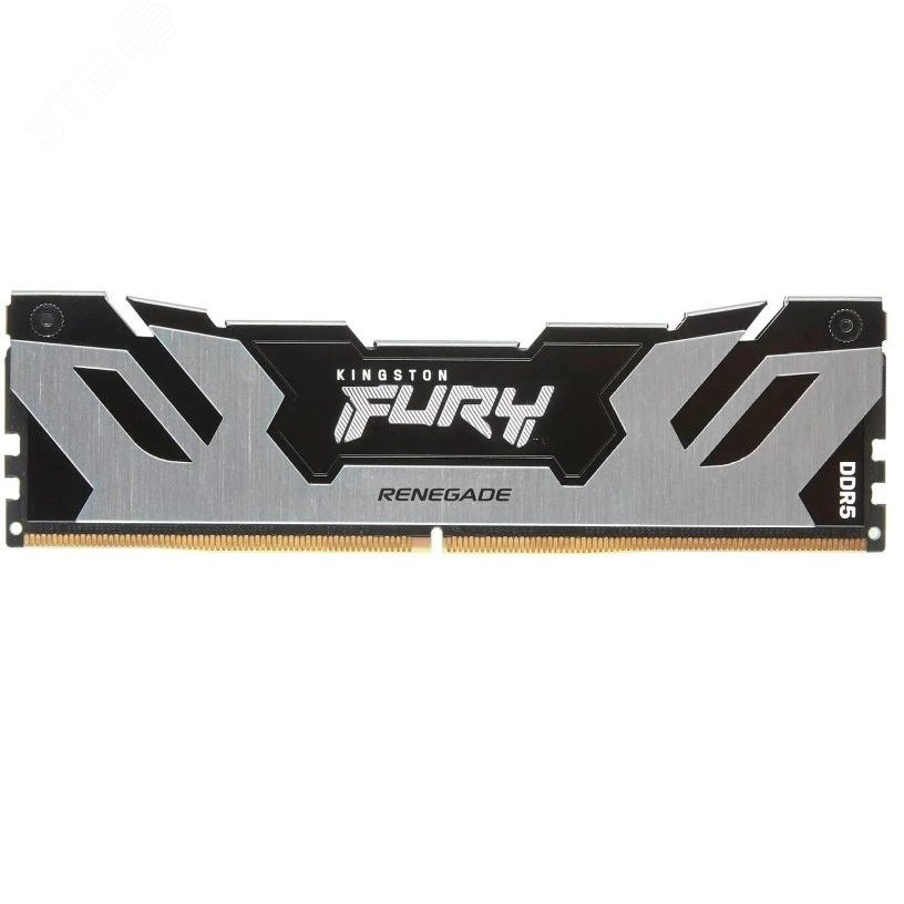 Изображение товара Модуль памяти FURY Renegade Silver XMP 16ГБ, DDR5, DIMM, 6400 МГц, 51200 Мб/с (шт)