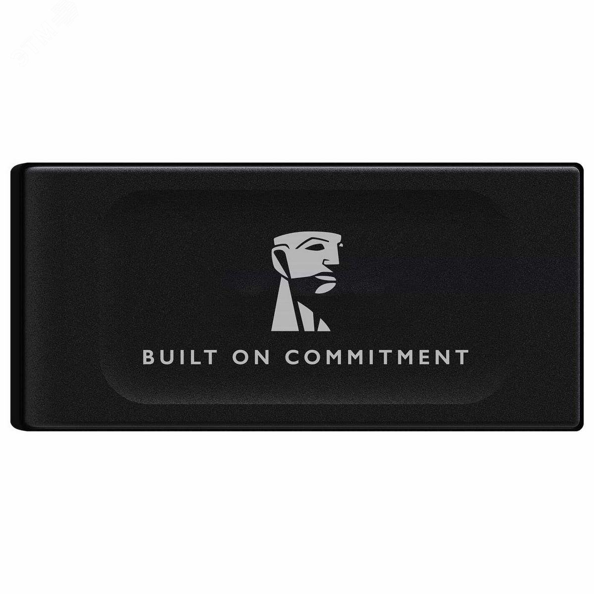 Изображение товара Внешний накопитель SSD М.2 1 ТБ XS1000, USB 3.2 Gen2 Type-C, 3D TLC, 1050/1000 Мб/с (шт)