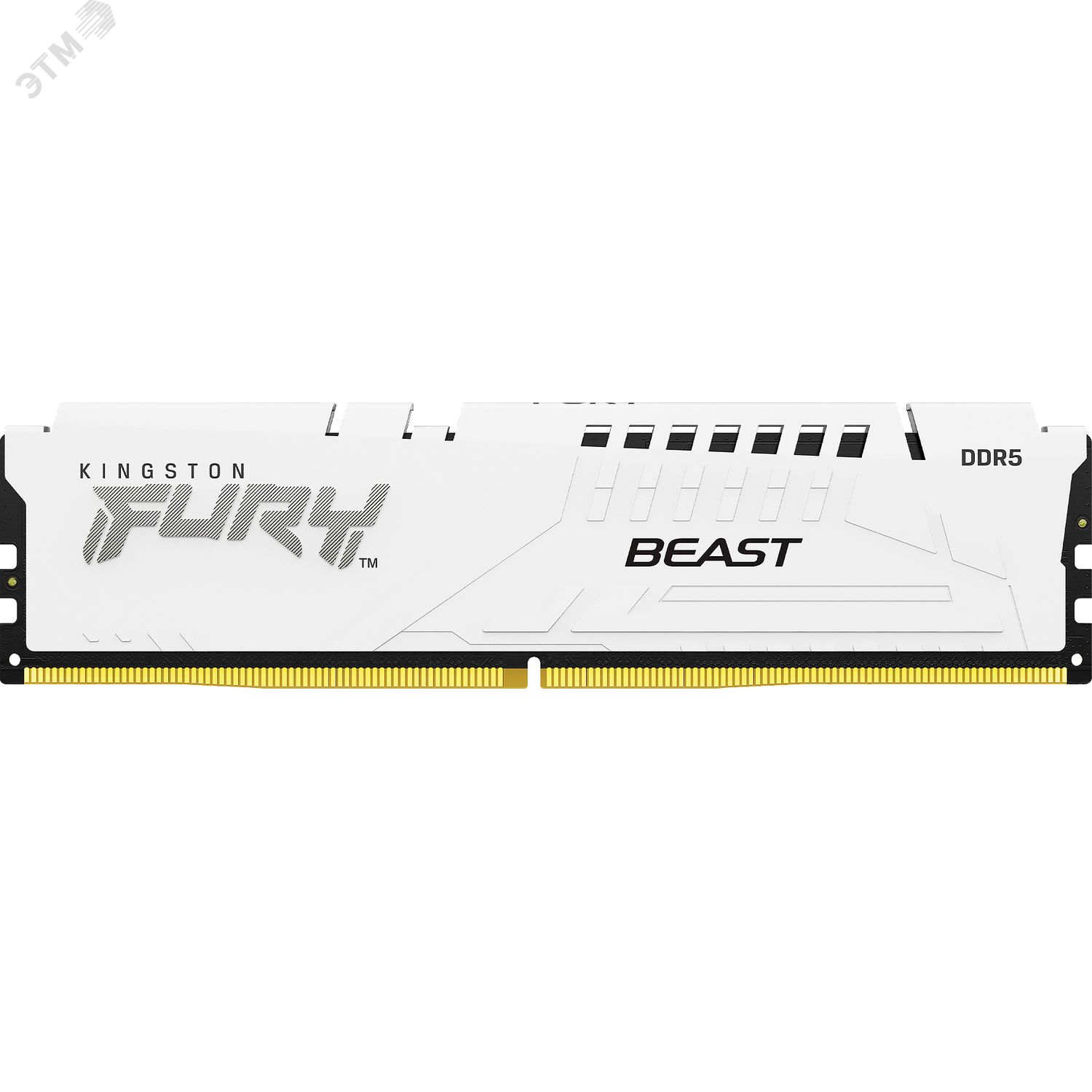 Изображение товара Модуль памяти FURY Beast White XMP 16ГБ, DDR5, DIMM, 6000 МГц, 48000 Мб/с (шт)
