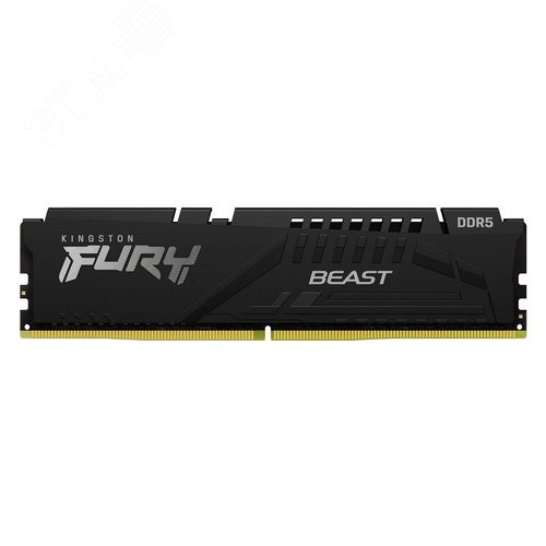 Изображение товара Модуль памяти 16 ГБ FURY Beast Black EXPO, DIMM DDR5, 5600 МГц, 44800 Мб/с (шт)