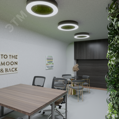 Светильник светодиодный RVE-LBX-MOSS-RING-700-N (Кольцо 700х700х100мм S80мм 48Вт Накладной 4000К Белый) - фото 2