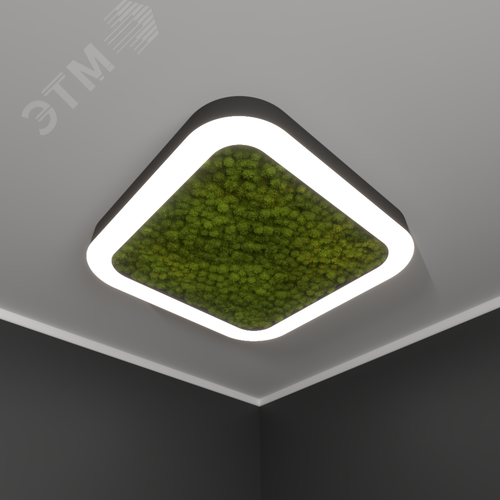 Светильник светодиодный RVE-LBX-MOSS-BOX-SOFT-800-N (Квадрат закругленный с отверстием 800х800х100мм S80мм 67Вт Накладной 4000К Белый) - фото 1