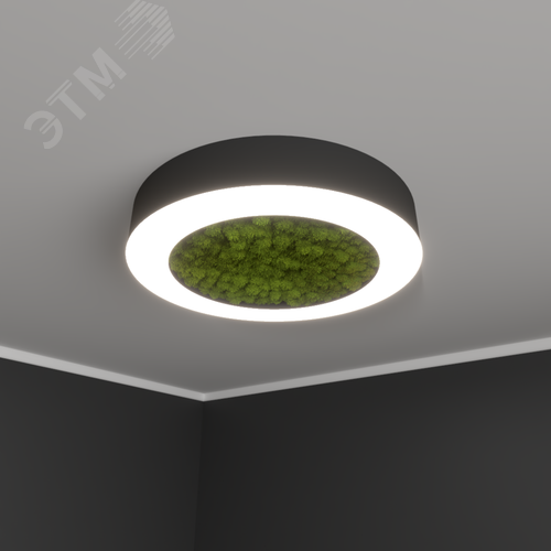 Светильник светодиодный RVE-LBX-MOSS-RING-700-N (Кольцо 700х700х100мм S80мм 48Вт Накладной 4000К Белый) - фото 1