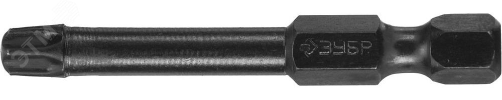 Изображение товара Биты ударные T30 50 мм, 2 шт. комплект для шуруповерта ЗУБР