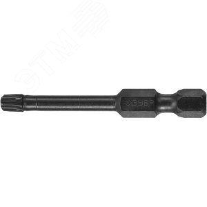 Изображение товара Биты ударные T25, 50 мм, 2 шт (упак)