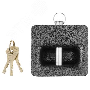 Замок навесной ''Мастер'' повышенной защищенности, дисковый механизм секрета, ключ 7 PIN, 85х80мм - фото 2