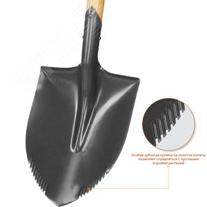 Лопата ''БЕРКУТ'' автомобильная, деревянный черенок, металлическая рукоятка, Профессионал - фото 2
