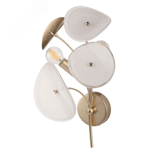 Бра светильник настенный 40Вт 2хЕ14 Albertina 4124-402 дизайн - фото 4