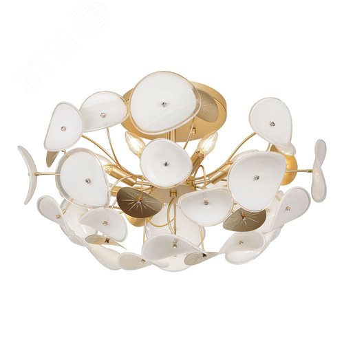 Люстра 8хЕ14 40Вт 4124-308 Albertina дизайн - фото 2