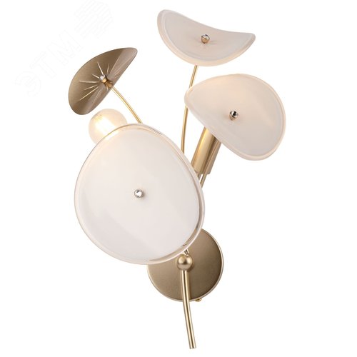 Бра светильник настенный 40Вт 2хЕ14 Albertina 4124-402 дизайн - фото 7