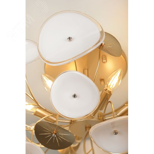 Люстра 8хЕ14 40Вт 4124-308 Albertina дизайн - фото 11