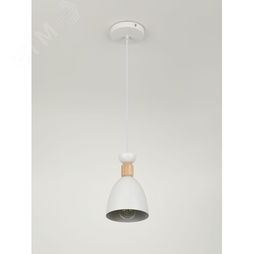 Светильник подвесной Catherine 5109-201 1хЕ27 60 Вт лофт-кантри - фото 3