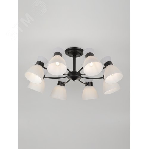 Люстра Aemilia 9185-308 8хЕ27 60 Вт модерн - фото 8