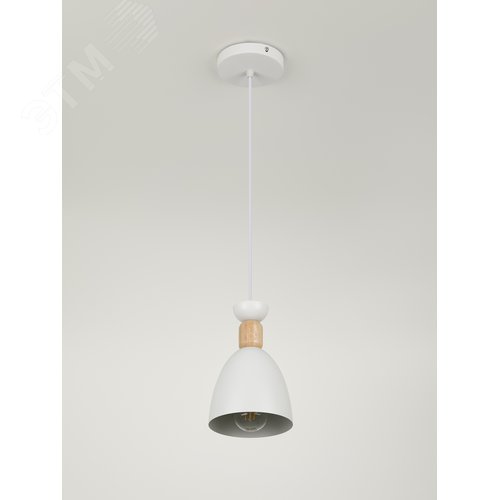 Светильник подвесной Catherine 5109-201 1хЕ27 60 Вт лофт-кантри - фото 4