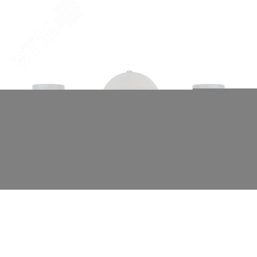 Светильник настенно-потолочный спот поворотный 2xE14 40Вт 7034-702 Anselma - фото 6