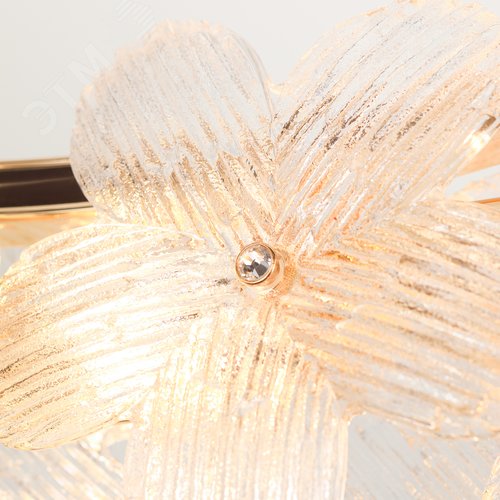 Люстра 12хG9 5Вт 6132-101 Ethel дизайн - фото 12