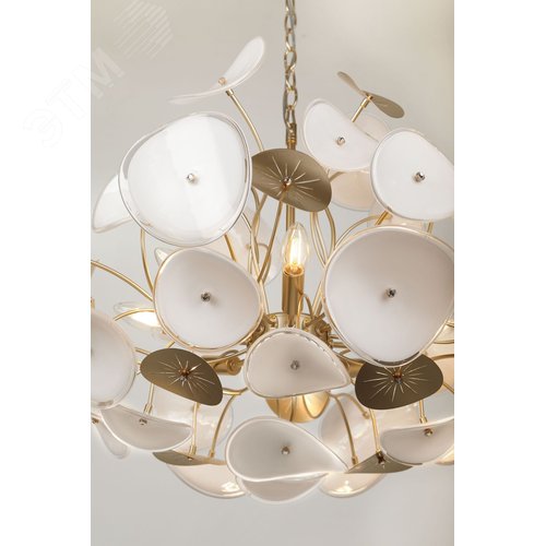 Люстра 6хЕ14 40Вт 4124-306 Albertina дизайн - фото 10