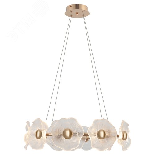 Люстра светодиодная LED 30Вт 3000K 6135-101 Shannon дизайн - фото 1