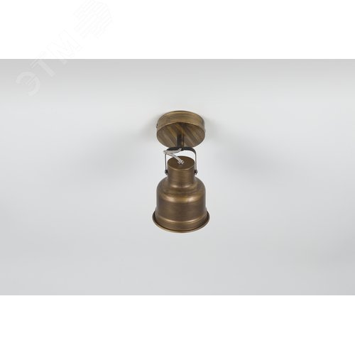 Светильник настенно-потолочный спот поворотный 1хЕ27 41Ср 7035-701 Inessa - фото 3