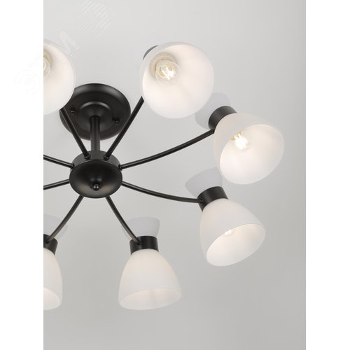 Люстра Aemilia 9185-308 8хЕ27 60 Вт модерн - фото 15