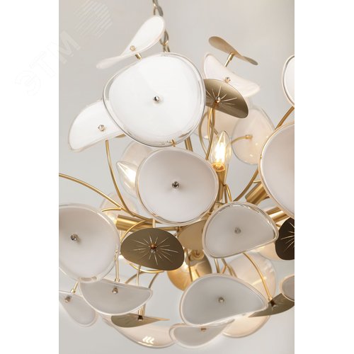 Люстра 6хЕ14 40Вт 4124-306 Albertina дизайн - фото 9