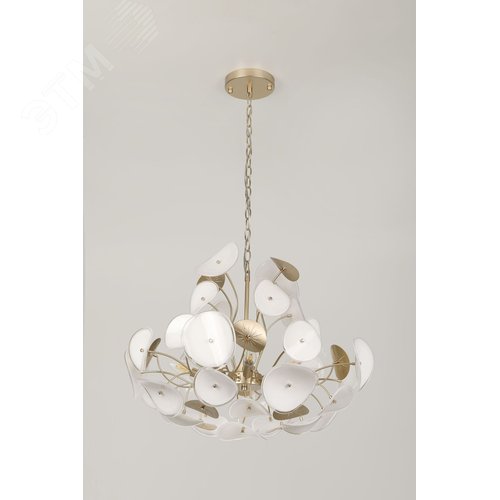 Люстра 6хЕ14 40Вт 4124-306 Albertina дизайн - фото 4