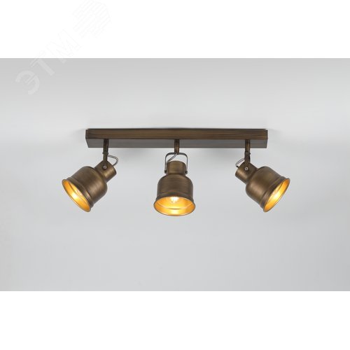 Светильник настенно-потолочный спот Inessa 7035-703 3 х Е27 40 Вт поворотный - фото 2