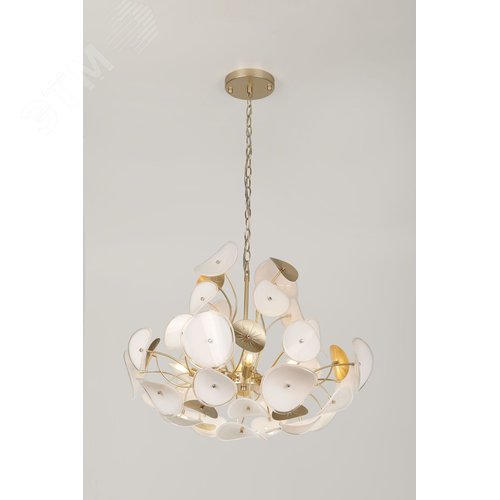 Люстра 6хЕ14 40Вт 4124-306 Albertina дизайн - фото 5