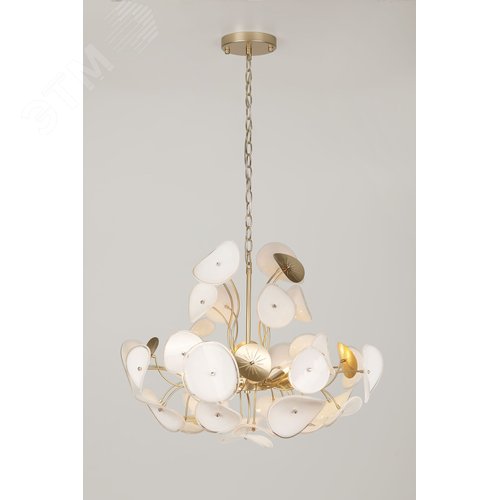 Люстра 6хЕ14 40Вт 4124-306 Albertina дизайн - фото 8