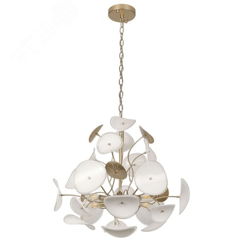 Люстра 8хЕ14 40Вт 4124-304 Albertina дизайн - фото 3