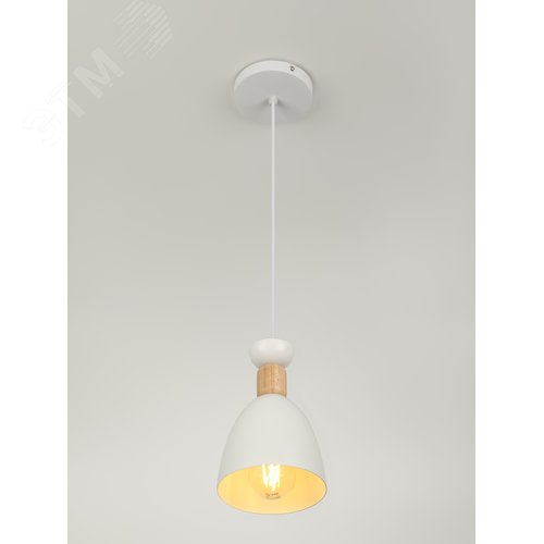 Светильник подвесной Catherine 5109-201 1хЕ27 60 Вт лофт-кантри - фото 9