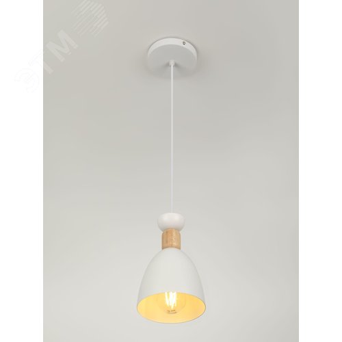 Светильник подвесной Catherine 5109-201 1хЕ27 60 Вт лофт-кантри - фото 8