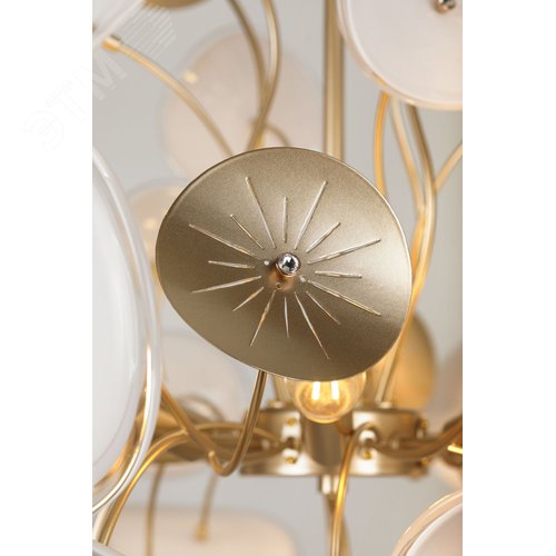 Люстра 6хЕ14 40Вт 4124-306 Albertina дизайн - фото 11